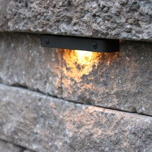Integral Black LED Light