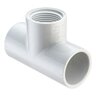 Tee PVC 1/2 in. Socket x Fipt