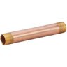 1-1/2 in. x 3 in. BRASS NIPPLE EAG