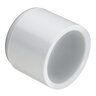 Cap PVC 8 in. Socket