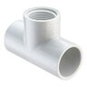 Tee PVC 1-1/2 in. Socket x Fipt