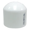 Cap PVC 1/2 in. Socket