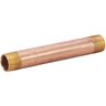 2 in. x 6 in. Brass NIPPLE EAG