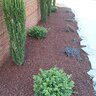 Barefoot Rubber Mulch Red 26 ltr. Bag