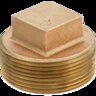 1 BRASS PLUG CORED