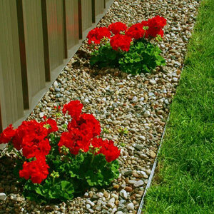 Permaloc PermaStrip L-Shaped Aluminum Landscape Edging Mill Finish 1/8 in. x 6 in. x 16 ft.