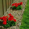 Permaloc PermaStrip L-Shaped Aluminum Landscape Edging Mill Finish 1/8 in. x 6 in. x 16 ft.