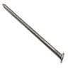 Pro-Trade Common Nail/Spike 3/8 in. x 10 in. (165 per 50 lb. Box)