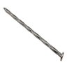 Pro-Trade Spiral Nail/Spike 10 in. (200 per 50 lb. Box)