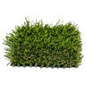 Pro-Trade Apple Supreme Synthetic Turf 80 oz. Face Weight/101 oz. Total Weight 2 in. Apple Green Blades - Green/Brown Thatching