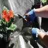 Pro-Trade 2.5 oz. Non-Woven Spunbond Weed Barrier Fabric Black 6 ft. x 100 ft.