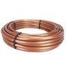 Rain Bird XFS-CV Subsurface Check Valve Dripline 0.9 GPH 12 in. Spacing 100 ft. (Sold per Roll)