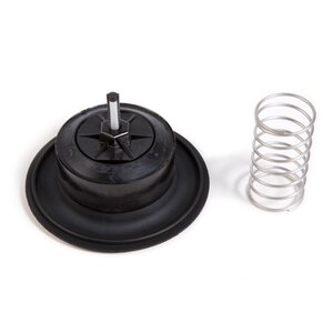 Rain Bird Diaph Assy - 200Pga