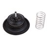 Rain Bird Diaph Assy - 200Pga