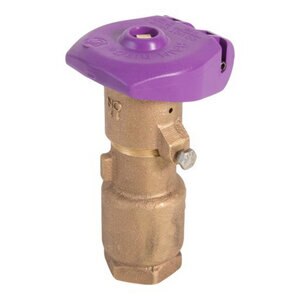 Rain Bird Reclaimed Quick Coupler 1 in. 2 pc.