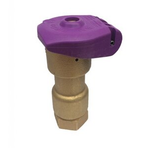 Rain Bird Reclaimed Cover Locking 1 in. Qcv