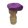 Rain Bird Reclaimed Cover Locking 1 in. Qcv