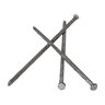 Bella Turf Nail 4 in. 50 lb. Box