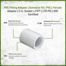 Female Adapter PVC 2 in. Socket x Fipt