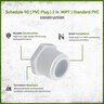 Plug PVC 1 in. Mipt