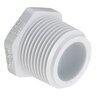 Plug PVC 1 in. Mipt