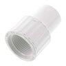 Female Adapter 3/4 in. Spigot x Fipt