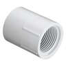 Female Adapter PVC 1 in. Socket x Fipt