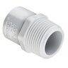 Reducer Male Adapter PVC 1 in. x 3/4 in. Mipt x Socket