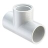 Tee PVC 1 in. Socket x Fipt