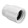 3/4 in. x 3/4 in. Swivel Adapter Fipt X Fht Swivel