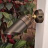 Unique Comet Down Light Weathered Brass No Lamp 25 ft. Wire Lead