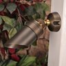 Unique Comet Down Light Weathered Brass No Lamp 25 ft. Wire Lead