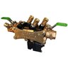 1 in. RPZ Composite Vessel FNPT