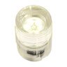 Watts DB-LED Warm White Integrated Ground Fixture / 22mm / 7/8 in / 12 V / 0.25 Watts