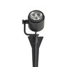 in-lite MINI SCOPE