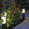 in-lite Liv Low Path Light Dark