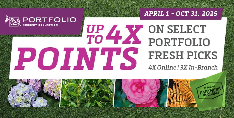 4X Points