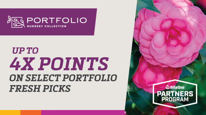 Portfolio Fresh Picks