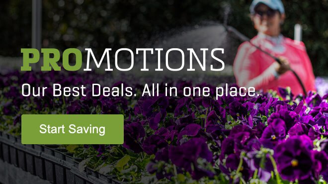 Promotions