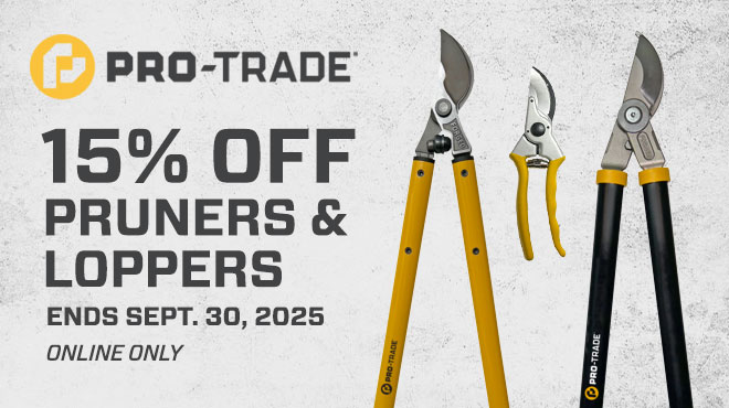 Save 15%