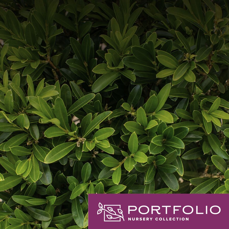 DISCOVER THE PORTFOLIO NURSERY COLLECTION