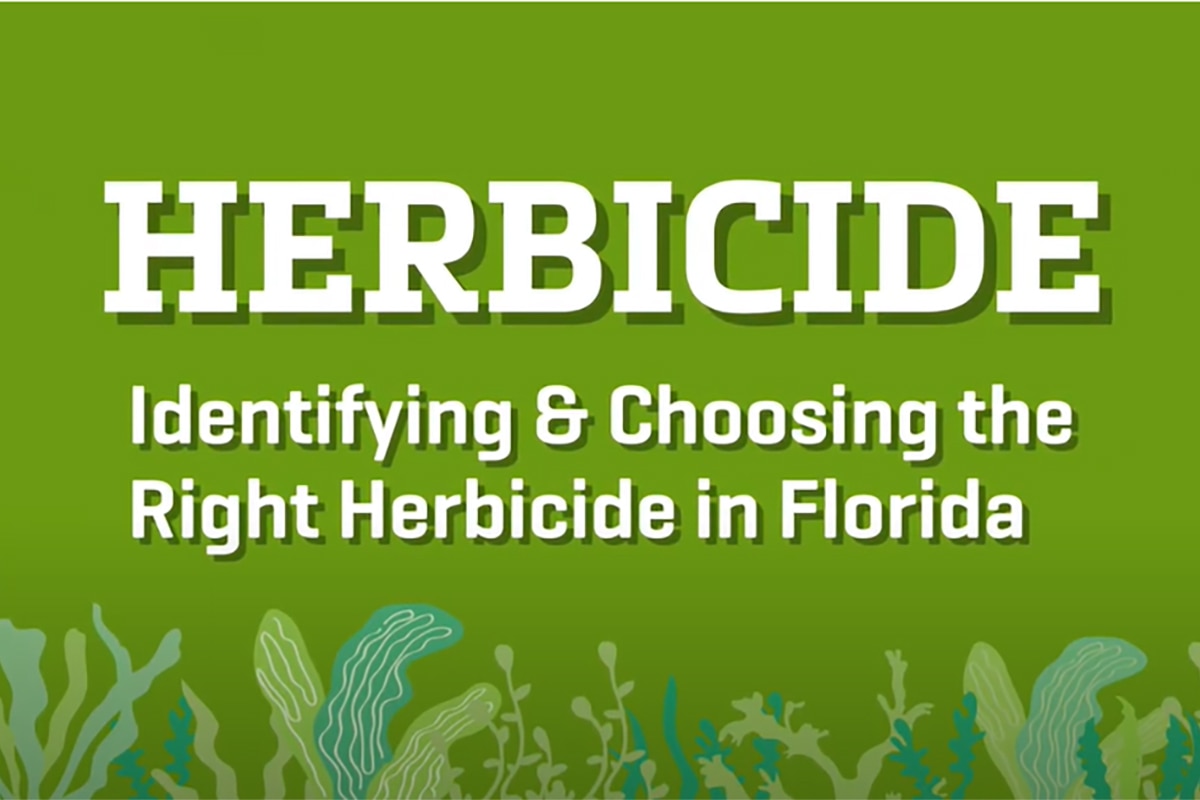 Selecting the Right Herbicide in Central Florida