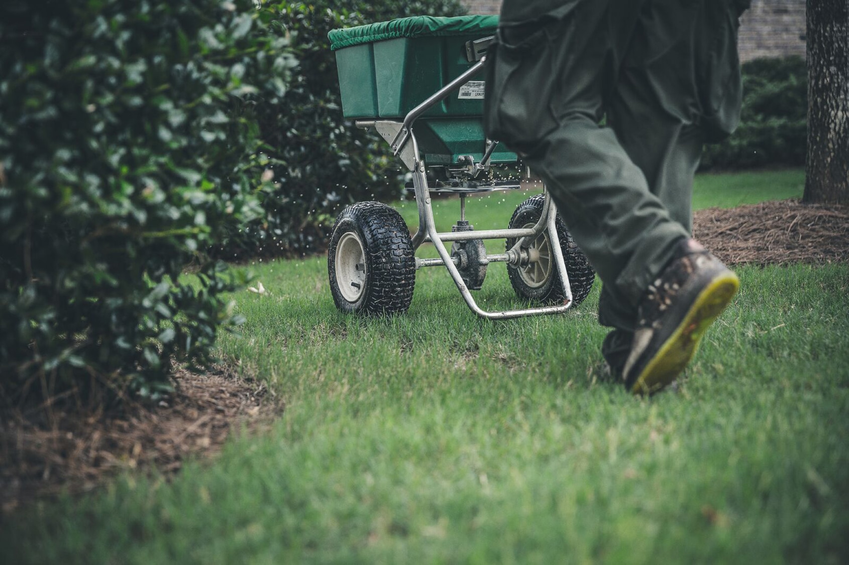 How Fertilizer Feeds Turf