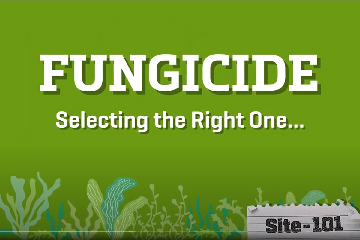 Selecting the Right Fungicide in Central Florida