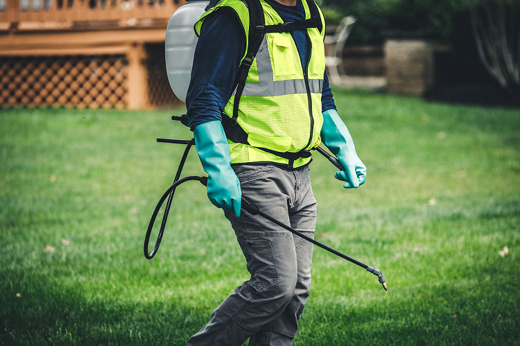 Managing Turf Throughout Winter - SiteOne