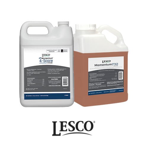 lesco momentum