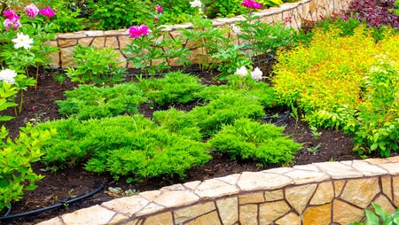 Beautifying landscapes