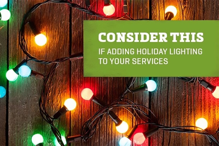 Adding Holiday Lighting to Your Services - SiteOne
