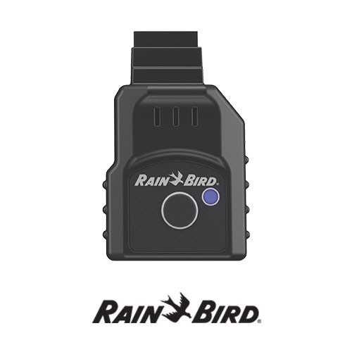 WiFi Module