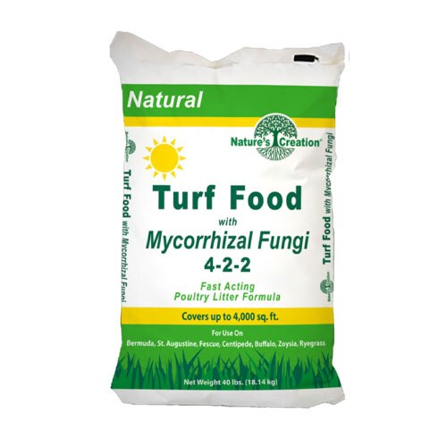 Mycorrhizal Fungi
